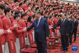 获得专业指