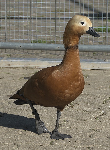 在一场充满