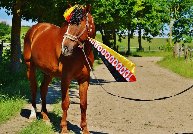 传球线路 传球线路