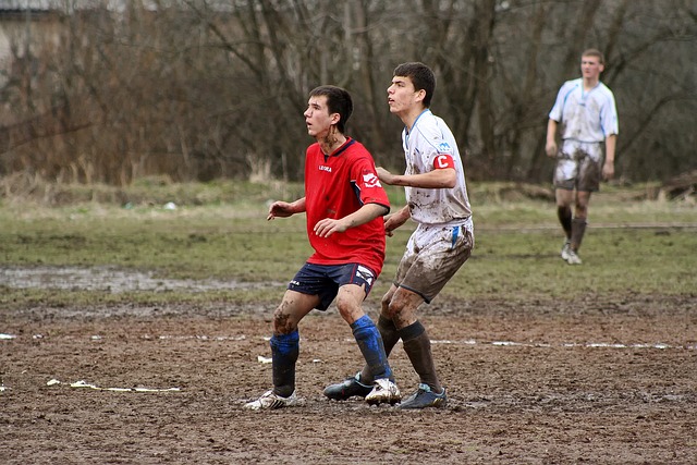 应转化为进 应转化为进