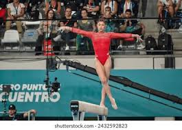 得的成就已 得的成就已